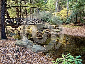 A bridge crossing the creek at Clear Creek State Park near Clarion, Pennsylvania in the fall with tree leaves all over the ground