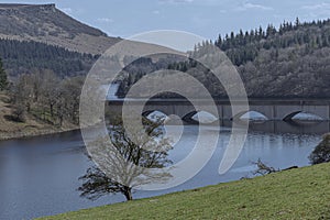 Bridge crossing Lady Bower Resevoir