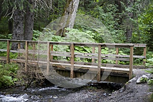 Bridge crossing over stream.