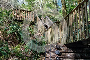 Bridge At Dash Point