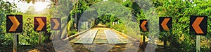 Bridge on a dirt road surrounded by the forest known as Estrada photo