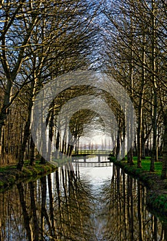 Bridge at the end of a canal surrounded by trees