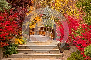 A bridge from fairytale