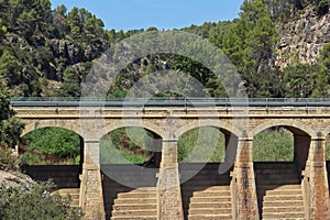 Bridge and forest