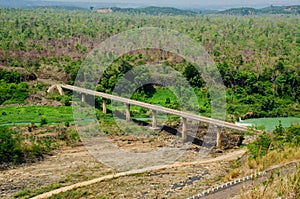 Bridge in forest