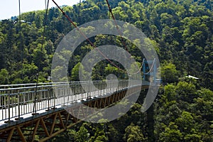 Bridge in forest Lushan China