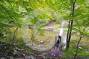 Bridge in forest over Cerna River, Romania