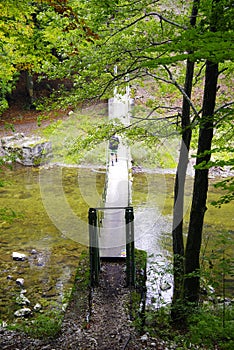 Bridge in forest over Cerna River, Romania