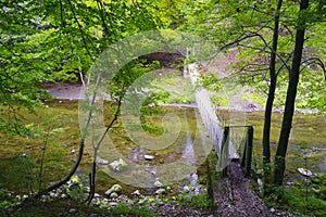 Bridge in forest over Cerna River, Romania photo