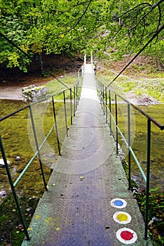 Bridge in forest over Cerna River, Romania photo