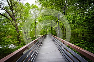Bridge through a forested area at Towson University, in Towson, photo