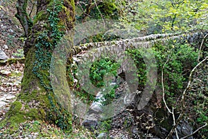 Bridge in Greece