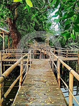 Bridge Green chill bamboo hiddenplace