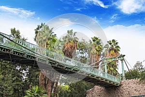 Bridge by Gustave Eiffel in Giza zoo