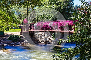 Bridge With Hanging Flowers On Truckee River In Reno, Nevada photo