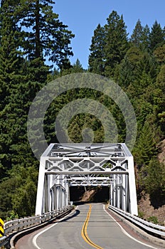 BRIDGE HIGHWAY 101 HUMBOLDT REDWOODS