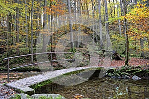 Bridge at hiking path through Maisinger Schlucht in Bavaria