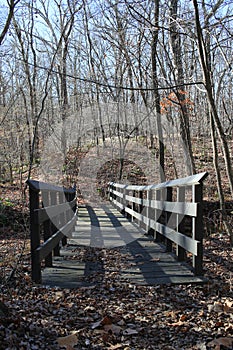 Bridge on Hiking Trail