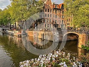 Bridge and Houseboats Along a Canal in Amsterdam