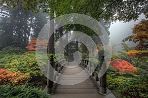 The Bridge in Japanese Garden