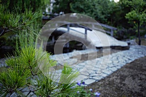 Bridge in a Japanese garden