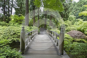 Bridge at Japanese Garden 2