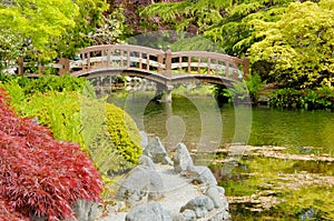 Bridge in japanese garden (2)