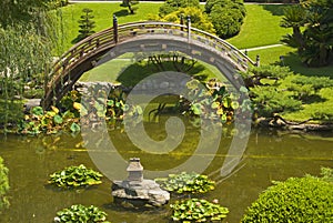 Bridge in Japanese garden