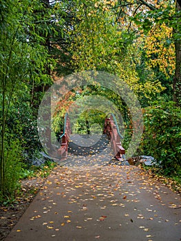 A bridge in a Japanese garden during Fall season