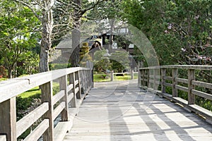 A bridge in Japanese Tea Garden