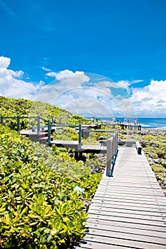 Bridge in Kenting National Park