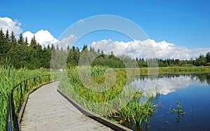 Bridge on the lake