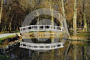 Bridge on the lake