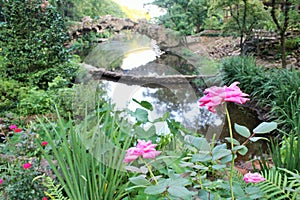 Bridge on lake at Old Mill Park, North Little Rock photo