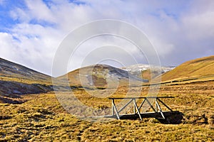 Bridge and landscape