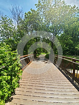 Foliage Covered Bridge
