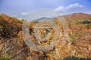 Bridge with leaves turning color in autumn in Naruko Gorge - Osaki, Miyagi, Japan