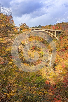 Bridge with leaves turning color in autumn in Naruko Gorge - Osaki, Miyagi, Japan