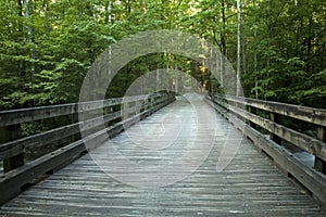 Bridge, Little Pigeon River, Greenbrier, GSMNP