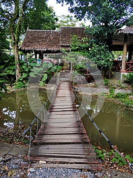 A bridge made of boards and ropes. Hiking trail for tourists in the jungle forest