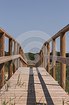 A bridge made of wood