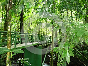 bridge in a Magic river in Guapiles, LimÃÂ³n , Costa Rica. Rainforest photo