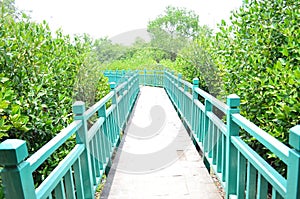 The Bridge at Mangrove Forest In Pantai Indah Kapuk Jakarta
