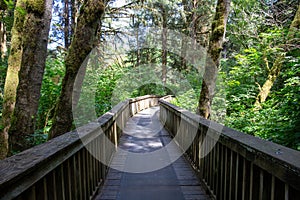 A bridge in the middle of the pluvial rainforest; Oregon State, USA