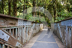 A bridge in the middle of the pluvial rainforest; Oregon State, USA