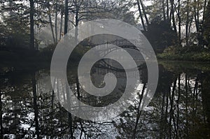 Bridge in misty morning