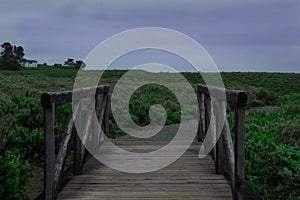 Bridge in Montana de Oro