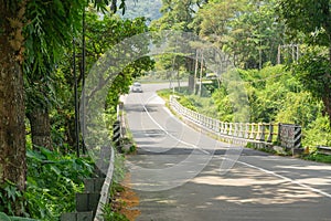 A bridge of the mountain road through the forest