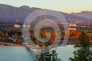 Bridge with moving cars across the river to the forest with red