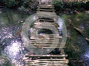Bridge in the nabran forest